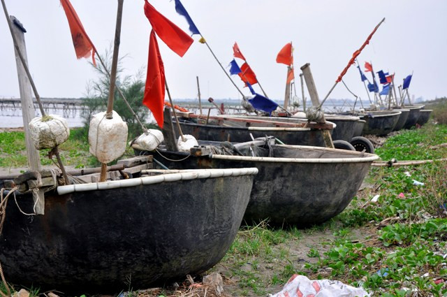 Nhiều chiếc mủng được ngư dân đưa về sát bờ đê trong Nhiều chiếc mủng được ngư dân đưa về sát bờ đê trong