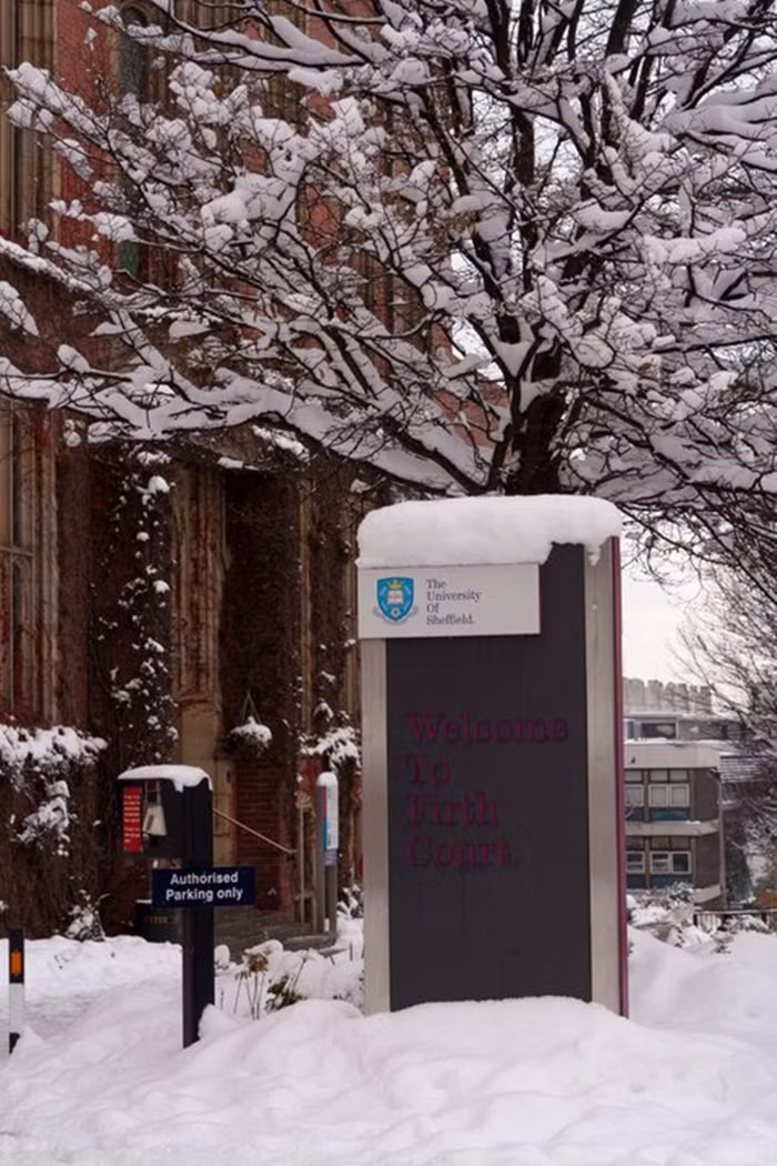 Khung cảnh quanh trường tuyệt đẹp, là nơi thư giãn sau những giờ học căng thẳng