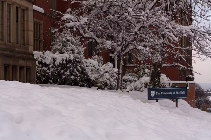 Sheffield có đầy đủ tất cả các tiện nghi của một thành phố lớn nhưng qui mô vừa phải của Trường cũng giúp tạo nên một môi trường thân thiện và chào đón đối với các bạn sinh viên