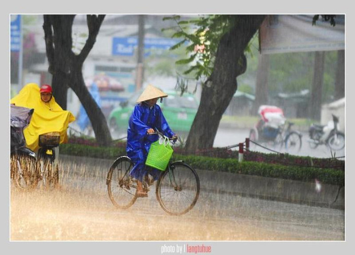 Mưa xối xả những bước chân, vội vàng và lặng lẽ Mưa xối xả những bước chân, vội vàng và lặng lẽ