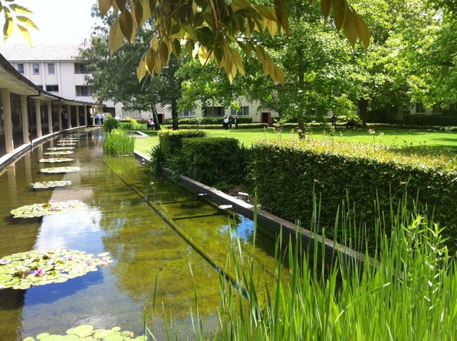 Hồ nước cạnh trường, điểm thư giãn thoải mái và lý tưởng để nghỉ ngơi sau những giờ học căng thẳng