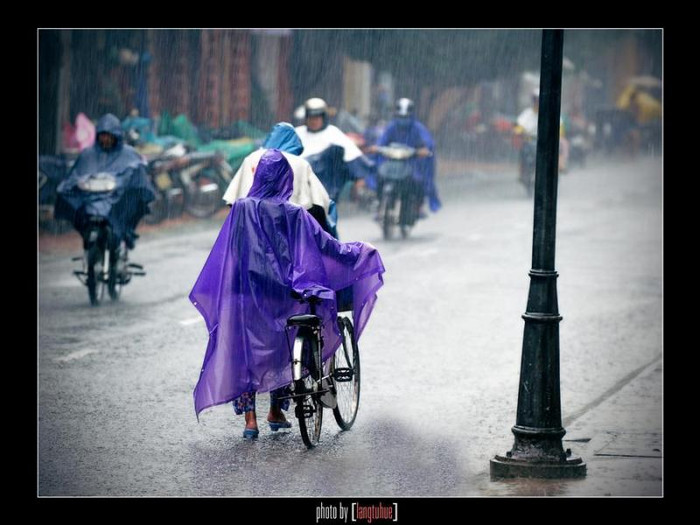 Chiếc áo mưa đậm chất Huế..."tím" mộng mơ Chiếc áo mưa đậm chất Huế..."tím" mộng mơ
