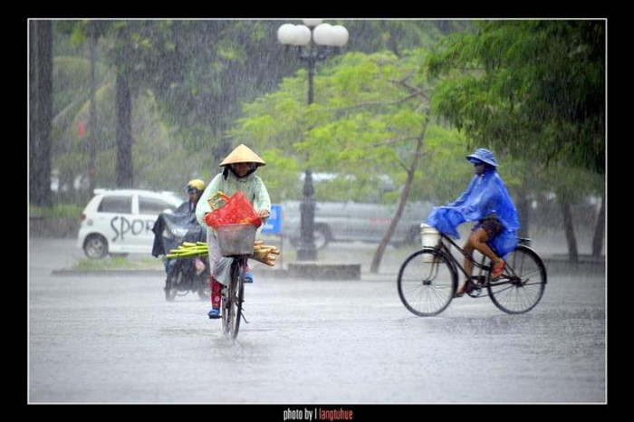 Mỗi người một việc...dường như mưa làm người ta vội vã, có khi đi lướt qua nhau không hề hay biết Mỗi người một việc...dường như mưa làm người ta vội vã, có khi đi lướt qua nhau không hề hay biết