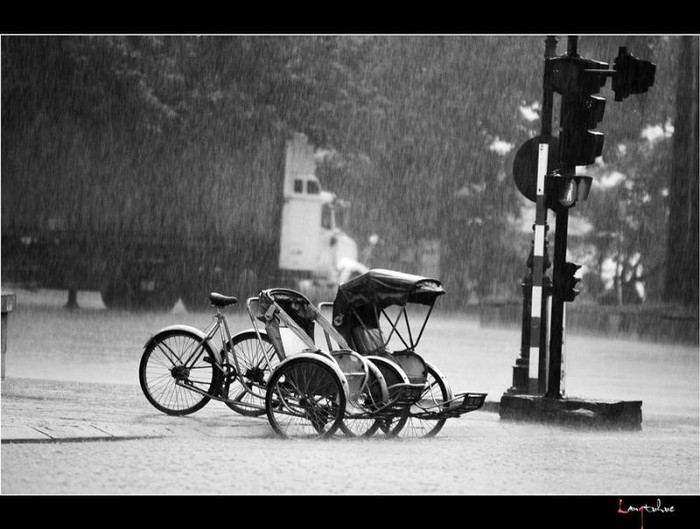 Ôi! những chiếc xe bỏ ngỏ...có phải vì mưa đến quá bất ngờ Ôi! những chiếc xe bỏ ngỏ...có phải vì mưa đến quá bất ngờ