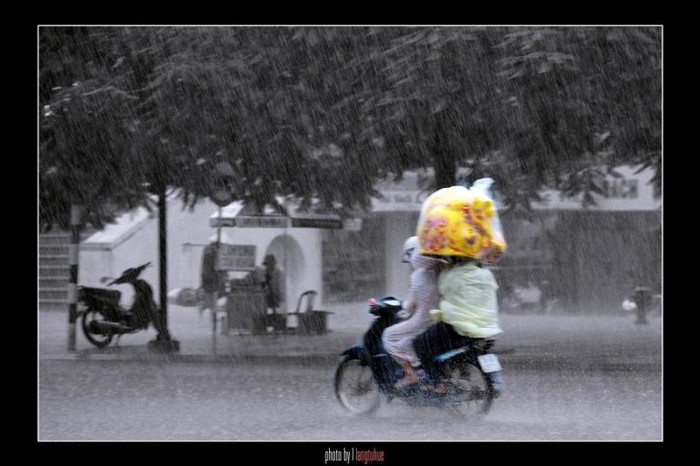 Trung thu vội...trong cơn mưa Trung thu vội...trong cơn mưa