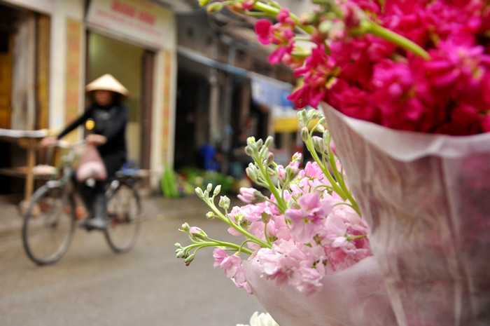 Đến thăm Phố 8/3, người ta luôn cảm nhận được một nhịp sống rất đỗi thanh bình. Đặc biệt trong ngày mà cả thế giới đang hướng về những người phụ nữ. Đến thăm Phố 8/3, người ta luôn cảm nhận được một nhịp sống rất đỗi thanh bình. Đặc biệt trong ngày mà cả thế giới đang hướng về những người phụ nữ.