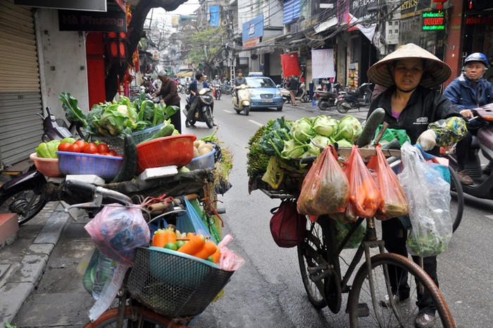 Phải rong ruổi trên phố hàng chục km mỗi ngày bằng chính đôi chân, chị Phương (quê ở Đông Hưng, Thái Bình) chia sẻ: Buổi sáng hàng ngày, chị đi lấy rau từ chợ đầu mối và đưa xuống phố bán. Mỗi ngày cũng bán được khoảng hơn một yến rau các loại. Khách mua chủ yếu là người dân khu Phố cổ.