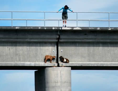 Mải chơi quên mất đường về Lạc vào cái chỗ ghê ghê quá trời