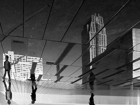 Tại sao mọi người lại đi ngược thế này nhỉ?