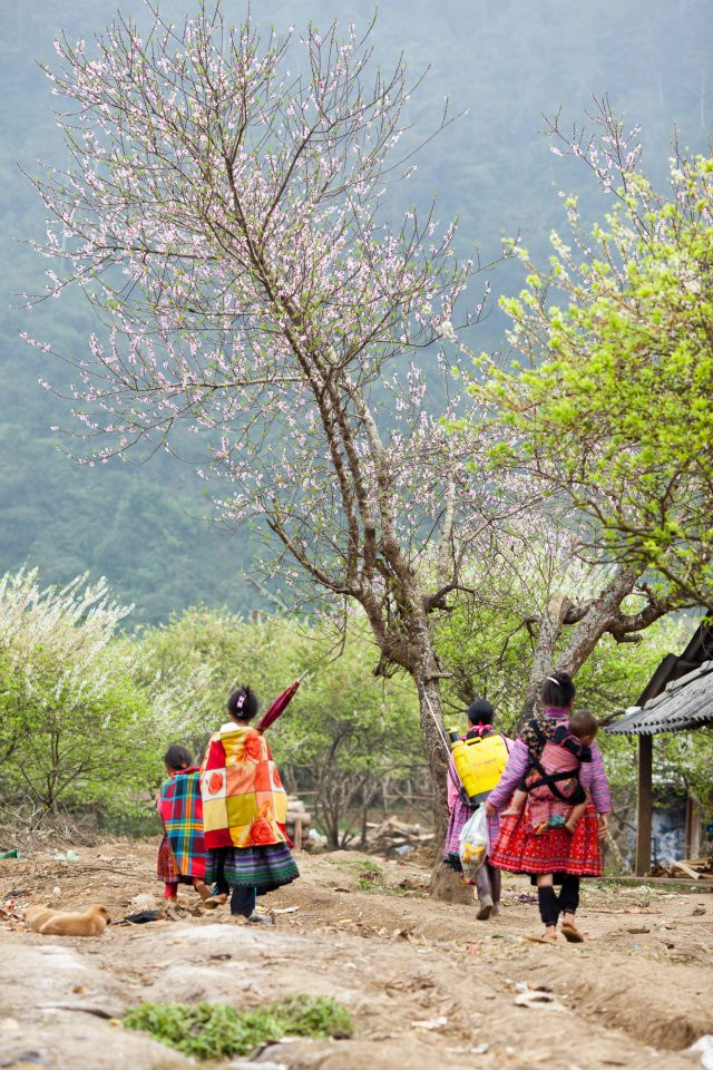 Dù còn rất nhỏ nhưng những em bé nơi đây đã biết làm cả những công việc dường như chỉ thích hợp cho những người đàn ông khỏe mạnh Dù còn rất nhỏ nhưng những em bé nơi đây đã biết làm cả những công việc dường như chỉ thích hợp cho những người đàn ông khỏe mạnh