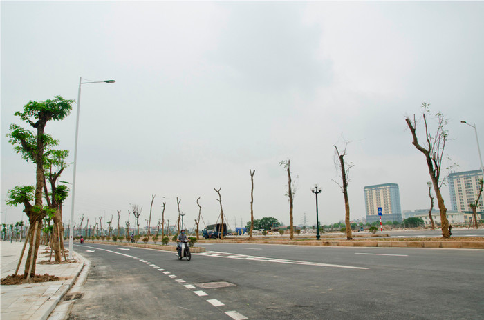 Một đoạn tuyến đường dài 3,5 km thuộc dự án đường Trần Hữu Dực nối đường Lê Đức Thọ với đường 70. ảnh H.Lực Một đoạn tuyến đường dài 3,5 km thuộc dự án đường Trần Hữu Dực nối đường Lê Đức Thọ với đường 70. ảnh H.Lực
