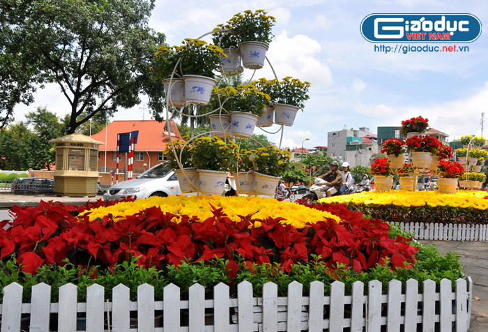 Những bồn hoa rực rỡ trên phố Kim Mã