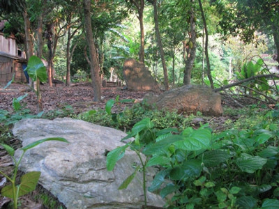 Rất nhiều mộ đá ở Trung Thành Rất nhiều mộ đá ở Trung Thành