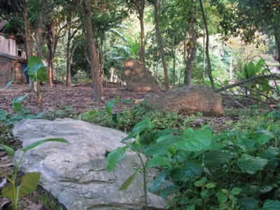 Rất nhiều mộ đá ở Trung Thành