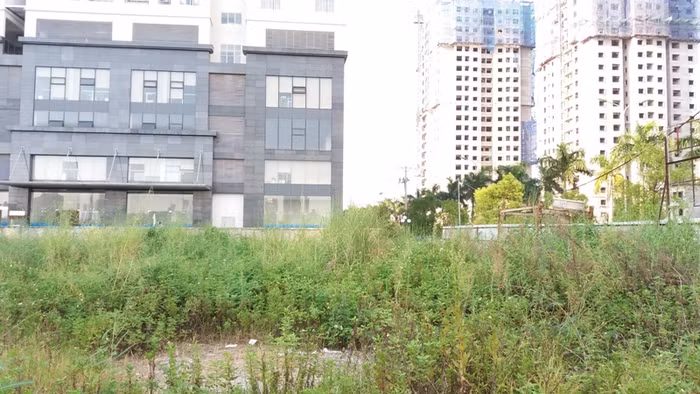 Với việc thực hiện huy động vốn trái phép khi chưa được phê duyệt, dự án thì để cỏ mọc um tùm như này. Công ty Phúc Hà đang đẩy người dân vào đường cùng ngõ hẻm.