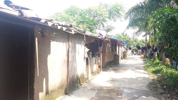 Khu đất do bà Bền và 13 hộ đã bỏ tiền ra mua lại của 21 hộ dân phường Trần Phú. Ảnh Trần Việt. Khu đất do bà Bền và 13 hộ đã bỏ tiền ra mua lại của 21 hộ dân phường Trần Phú. Ảnh Trần Việt.