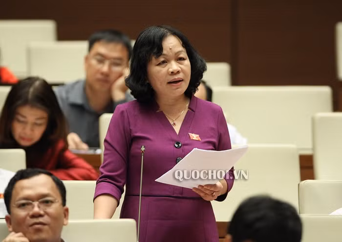 Đại biểu Quốc hội Nguyễn Thị Mai Hoa (ảnh nguồn quochoi.vn).