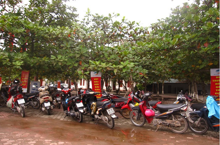 Xe phụ huynh học sinh khối 10 trường THPT Lê Quý Đôn đến họp phụ huynh sáng 6/12/2015 (Ảnh: Lê Văn Vỵ) Xe phụ huynh học sinh khối 10 trường THPT Lê Quý Đôn đến họp phụ huynh sáng 6/12/2015 (Ảnh: Lê Văn Vỵ)