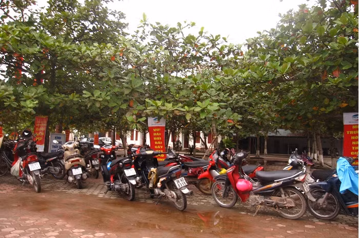 Xe phụ huynh học sinh khối 10 trường THPT Lê Quý Đôn đến họp phụ huynh sáng 6/12/2015 (Ảnh: Lê Văn Vỵ)