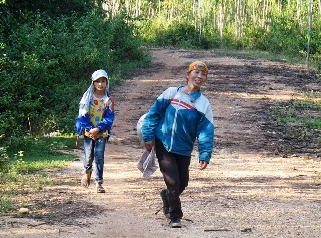 Hôm nào được nghỉ học, em Nguyễn Thị Lành, học sinh lớp 6 lại theo mẹ vào rừng nhặt hạt dẻ (Ảnh: Thủy Phan)