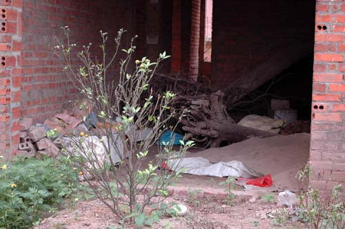 Xây biệt thự cho con nghiện và... chuột ở Xây biệt thự cho con nghiện và... chuột ở