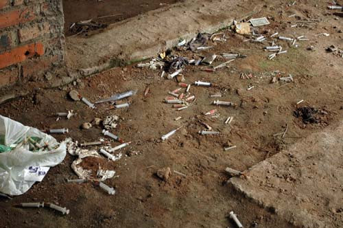 Kim tiêm nhan nhản trên nền Kim tiêm nhan nhản trên nền