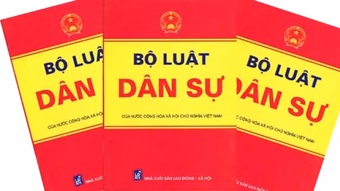 Làm luật – chuyên nghiệp hay nghiệp dư? (Ảnh: quangngai.gov.vn)