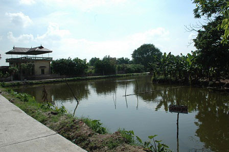 Ao làng nơi xảy ra vụ án mạng Ao làng nơi xảy ra vụ án mạng