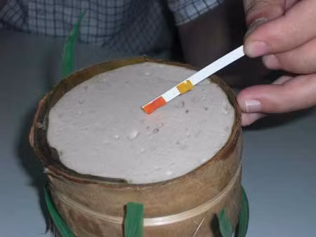 Can canh cong nghe lam pa te ban