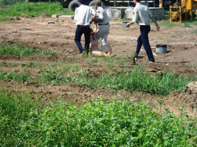 Người mẹ bị lôi đi trong tình trạng không mảnh vải che thân. Người mẹ bị lôi đi trong tình trạng không mảnh vải che thân.