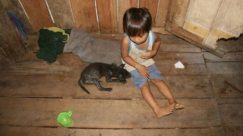 Người dân vùng "bệnh lạ" đang bị xa lánh ảnh 1 Người dân vùng "bệnh lạ" đang bị xa lánh, Tin tức trong ngày, benh la Quang Ngai, viem da ban tay, benh khong ten, lang Reu, suy da noi tang, bo chet, mong tay, mong chan, bao, tin tuc, tin hot, tin hay