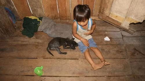 Người dân vùng "bệnh lạ" đang bị xa lánh, Tin tức trong ngày, benh la Quang Ngai, viem da ban tay, benh khong ten, lang Reu, suy da noi tang, bo chet, mong tay, mong chan, bao, tin tuc, tin hot, tin hay