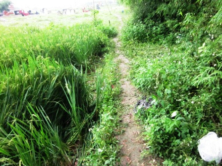 /Uploaded/thuhien/2012_05_22/20120522-160756-1-anh-2-8d4a2.JPG.jpeg