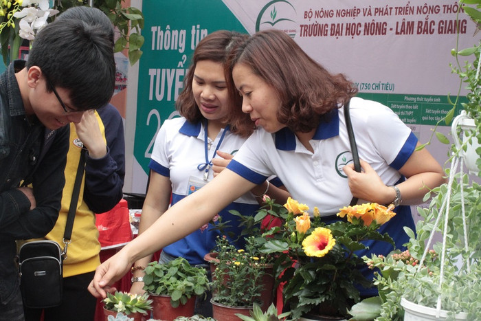 Bộ Giáo dục yêu cầu xây dựng các chuyên đề khởi nghiệp đưa vào chương trình đào tạo theo hướng bắt buộc hoặc tự chọn phù hợp với thực tiễn của nhà trường. (Ảnh minh họa: Linh Anh)