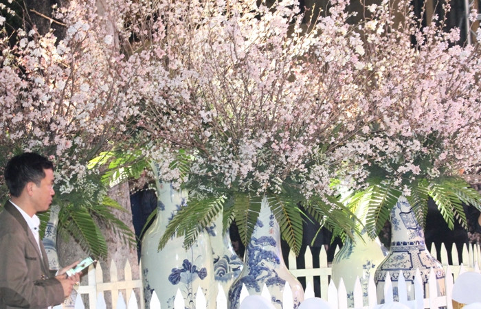 Người dân Thủ đô háo hức chào đón Lễ hội Hoa anh đào (ảnh: Như Hải). Người dân Thủ đô háo hức chào đón Lễ hội Hoa anh đào (ảnh: Như Hải).