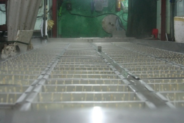 Những dãy que kem đang được làm đông lạnh Những dãy que kem đang được làm đông lạnh