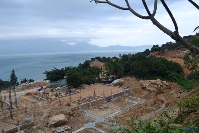 Đà Nẵng báo cáo với Thủ tướng về quy hoạch Sơn Trà như thế nào? ảnh 3