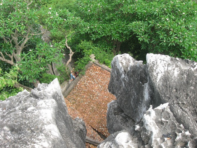 Xung quang chùa những cây hoa Đại cổ thụ ra hoa tỏa hương cho ngôi cổ tụ Xung quang chùa những cây hoa Đại cổ thụ ra hoa tỏa hương cho ngôi cổ tụ