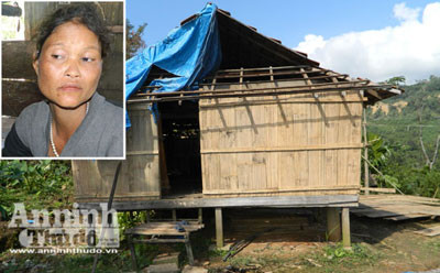 Đối tượng Đinh Thị Từ và ngôi nhà tranh lụp xụp