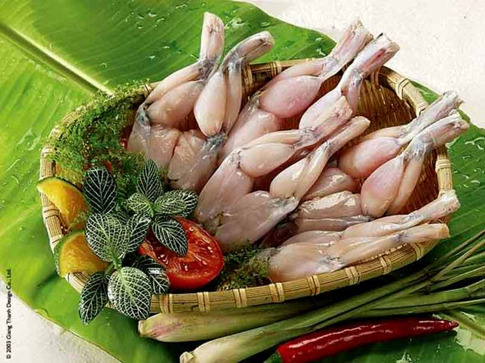 10. Thịt ếch: Tại Pháp hay Việt Nam, chân ếch rất được người dân ưa chuộng. Tuy nhiên, niều khiến những chú ếch trở thành một món ăn nguy hiểm là nếu người dân ăn chúng vào những thời điểm không phù hợp trong năm, hoặc trước khi chúng đến mùa giao phối, chất độc từ cơ thể của ếch có thể khiến người ta suy thận, dẫn đến tử vong. Vì vậy, những người "có gan" thưởng thức thịt ếch cần phải đảm bảo rằng họ không đang "ngấu nghiến" chất độc. 10. Thịt ếch: Tại Pháp hay Việt Nam, chân ếch rất được người dân ưa chuộng. Tuy nhiên, niều khiến những chú ếch trở thành một món ăn nguy hiểm là nếu người dân ăn chúng vào những thời điểm không phù hợp trong năm, hoặc trước khi chúng đến mùa giao phối, chất độc từ cơ thể của ếch có thể khiến người ta suy thận, dẫn đến tử vong. Vì vậy, những người "có gan" thưởng thức thịt ếch cần phải đảm bảo rằng họ không đang "ngấu nghiến" chất độc.