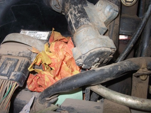 Chuột "cõng" rẻ vào trong gầm xe, dễ gây cháy nổ. Chuột "cõng" rẻ vào trong gầm xe, dễ gây cháy nổ.