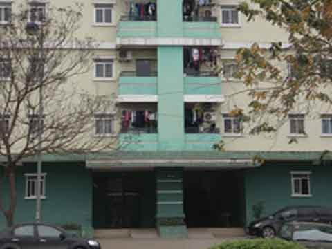 Trước đó (4/3/2001), hàng ngàn người dân khu chung cư Bắc Linh Đàm (phường Hoàng Liệt, Hoàng Mai, Hà Nội) xôn xao trước thông tin phát hiện xác chết một cặp vợ chồng trẻ trong nhà. Nguyên nhân cái chết được cho là đôi vợ chồng đã dùng 3 viên than tổ ong tự kết liễu cuộc đời mình. Trước đó (4/3/2001), hàng ngàn người dân khu chung cư Bắc Linh Đàm (phường Hoàng Liệt, Hoàng Mai, Hà Nội) xôn xao trước thông tin phát hiện xác chết một cặp vợ chồng trẻ trong nhà. Nguyên nhân cái chết được cho là đôi vợ chồng đã dùng 3 viên than tổ ong tự kết liễu cuộc đời mình.