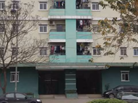 Trước đó (4/3/2001), hàng ngàn người dân khu chung cư Bắc Linh Đàm (phường Hoàng Liệt, Hoàng Mai, Hà Nội) xôn xao trước thông tin phát hiện xác chết một cặp vợ chồng trẻ trong nhà. Nguyên nhân cái chết được cho là đôi vợ chồng đã dùng 3 viên than tổ ong tự kết liễu cuộc đời mình.