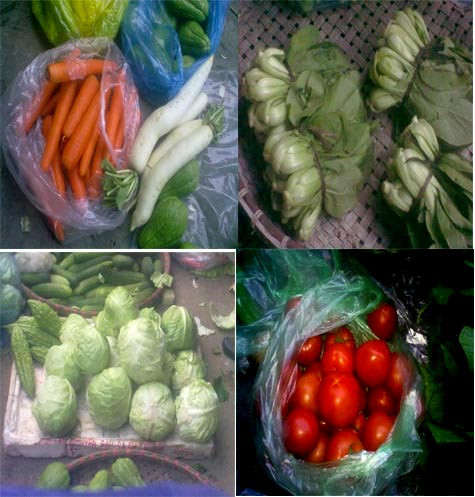 Nhiều loại rau, củ quả Trung Quốc đang tràn ngập thị trường Việt Nam. Nhiều loại rau, củ quả Trung Quốc đang tràn ngập thị trường Việt Nam.