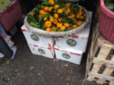 Những quả quýt vỏ còn tươi nguyên, lá xanh ngon của Trung Quốc được gắn mác Sài Gòn đã dễ dàng đánh lừa người tiêu dùng Việt. Những quả quýt vỏ còn tươi nguyên, lá xanh ngon của Trung Quốc được gắn mác Sài Gòn đã dễ dàng đánh lừa người tiêu dùng Việt.