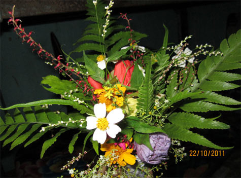 Các em nhỏ vùng cao biết tạo niềm vui cho riêng mình bằng những gì giản dị, đời thường nhất như những bông hoa rừng đầy hương sắc. Các em nhỏ vùng cao biết tạo niềm vui cho riêng mình bằng những gì giản dị, đời thường nhất như những bông hoa rừng đầy hương sắc.