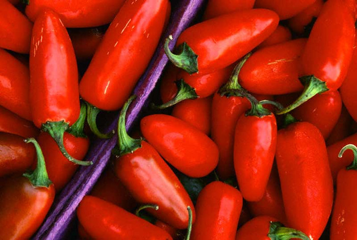 16. Ớt : Là một loại quả gia vị cực kỳ nóng và có chứa một chất hóa học gọi là capsaicin. Trong ớt, capsaicin tạo cho người ăn có cảm giác cay và nóng. Ăn ớt sẽ không bị thương, nhưng ăn nhiều ớt bạn có thể bị chết vì lượng capsaicin nhiều có thể giết chết bạn. 16. Ớt : Là một loại quả gia vị cực kỳ nóng và có chứa một chất hóa học gọi là capsaicin. Trong ớt, capsaicin tạo cho người ăn có cảm giác cay và nóng. Ăn ớt sẽ không bị thương, nhưng ăn nhiều ớt bạn có thể bị chết vì lượng capsaicin nhiều có thể giết chết bạn.