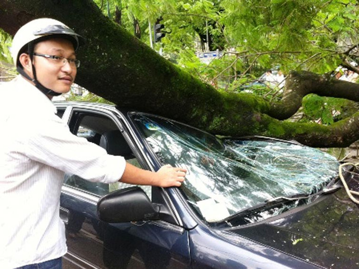 Xế hộp đang lưu thông trên phố, bỗng dưng bị một gốc cây phượng bên vệ đường ngã đổ đè lên nóc xe. 5 người trên ô tô may mắn thoát chết trong gang tấc.