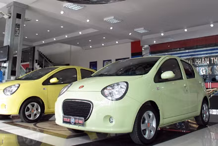 Trao đổi về hiện tượng này, chuyên gia về khí thải, thạc sĩ công nghệ ôtô Nguyễn Minh Đồng cho biết ôtô, xe máy đều thải ra nhiều khí độc như CO, CO2, hydro carbon. Trong số đó, khí thải CO là chất không mùi, có khả năng hấp thụ oxy, khi ôtô nổ máy trong nhà kín và nhỏ thì các nạn nhân sẽ bị chết ngạt theo cách lịm dần đi. Đó là chưa kể khí hydro carbon và chất bay mùi trong xăng cũng có tác động tương tự.