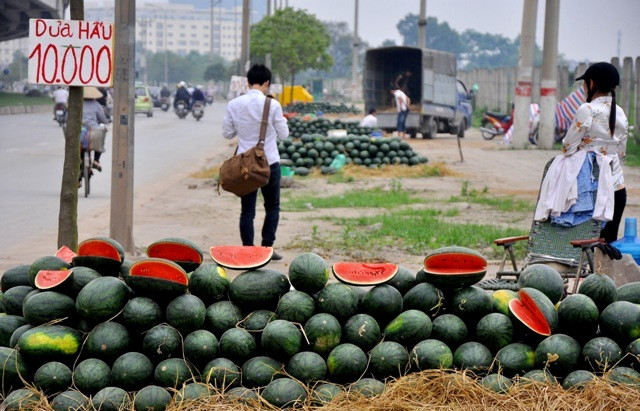 Bên cạnh các tuyến đường như Quốc lộ 32, Phạm Văn Đồng… thì dọc theo đường vành đai Nguyễn Xiển (Thanh Xuân, Hà Nội), lượng dưa hấu được các tiểu thương tập trung nhiều nhất. Cách chục mét lại có một chỗ bán dưa hấu. Bên cạnh các tuyến đường như Quốc lộ 32, Phạm Văn Đồng… thì dọc theo đường vành đai Nguyễn Xiển (Thanh Xuân, Hà Nội), lượng dưa hấu được các tiểu thương tập trung nhiều nhất. Cách chục mét lại có một chỗ bán dưa hấu.